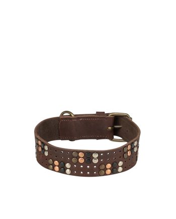 OGRLICA ZA PSA LEATHER RUSTIK L BROWN Trixie