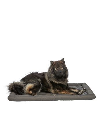 KREVET JASTUK ZA PSA SAMOA M TRAVELER GREEN Trixie