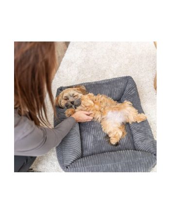 KREVET LEŽALJKA ZA PSA VITAL JONA GRAY Trixie