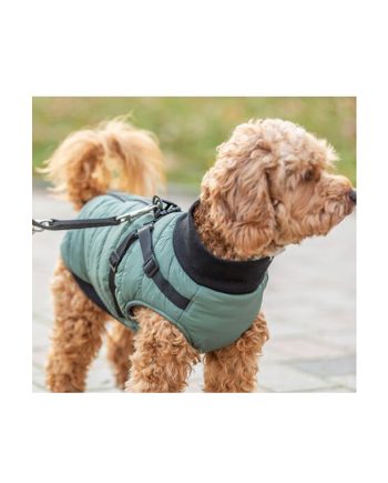 ODELO REFLEX SEASON SA AM-OM PONTIS XS1+ GOOD GREEN Trixie