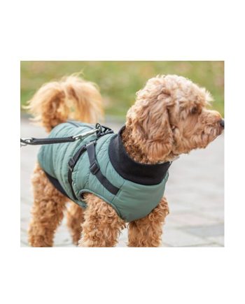 ODELO REFLEX SEASON SA AM-OM PONTIS S+ GOOD GREEN Trixie