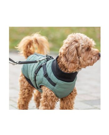 ODELO REFLEX SEASON SA AM-OM PONTIS M GREEN Trixie