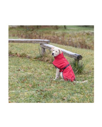 ODELO JAKNA TERMO S RED Trixie