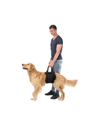 AKSESOAR OPREMA POJAS ZA PODIZANJE STOMAKA XL 85-95CM BLACK Trixie