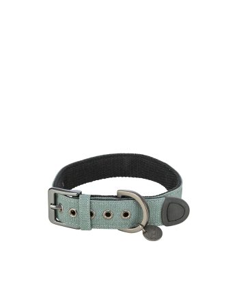 OGRLICA ZA PSA CITY STYLE I ŠIROKA XS S 2.5CM TURQUOISE Trixie