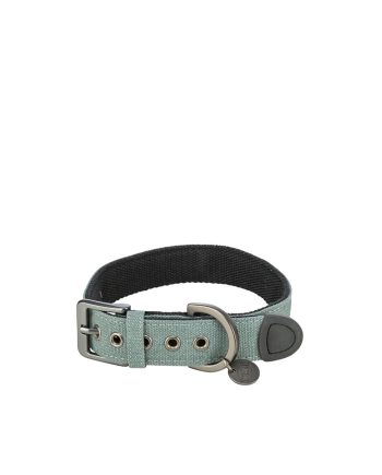 OGRLICA ZA PSA CITY STYLE I ŠIROKA S M 2.5CM TURQUOISE Trixie