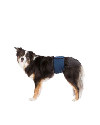 AKSESOAR OPREMA POJAS ZA PSA M 45 55CM BLUE Trixie