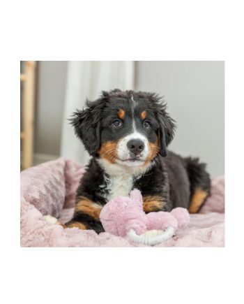 KREVET LEŽALJKA ZA PSA LOKI VITAL ROSE Trixie