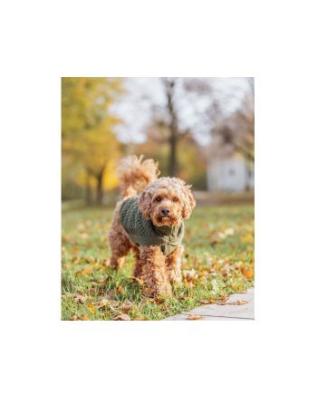 ODELO DŽEMPER CITY STYLE NORWOOD S+ GREEN Trixie