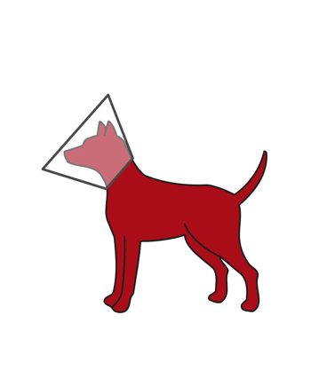 OGRLICA KRAGNA ZAŠTITNA ZA PSA SA ČIČAK TRAKOM 30 37/14cm WHITE Trixie