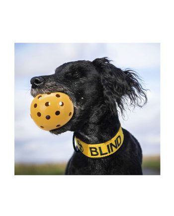 IGRAČKA GUMENA ZVUČNA LOPTA RUPIČASTA YELLOW Trixie