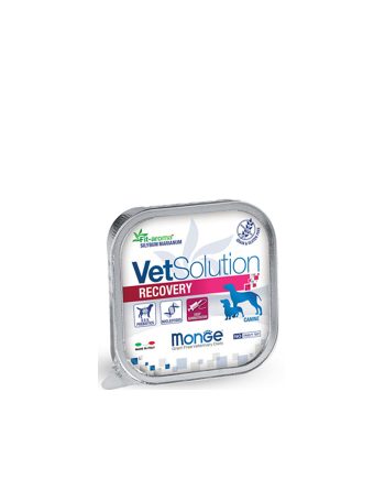 PAŠTETA MGV VETSOLUTION DOG ADULT RECOVERY 150G Monge