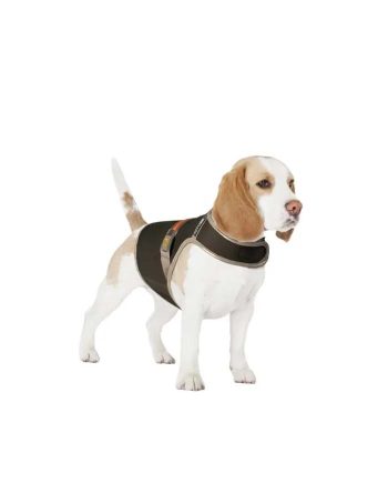 OGRLICA SA AM-OM ZA PSA SAFETY JACKET FLUO FLASH BLACK Duvoplus