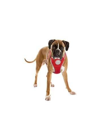 OGRLICA SA AM-OM ZA PSA FLASHLIGHT HARNESS S RED Duvoplus