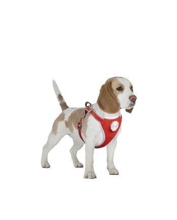 OGRLICA SA AM-OM ZA PSA FLASHLIGHT HARNESS M RED Duvoplus
