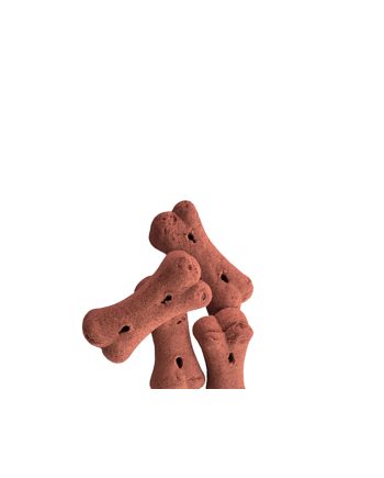 POSLASTICA ZA PSA BISCUITS BONE FISH 2KG Dafiko